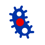 Nachlazení je běžné virové onemocnění horních cest dýchacích, které často postihuje dutiny. 